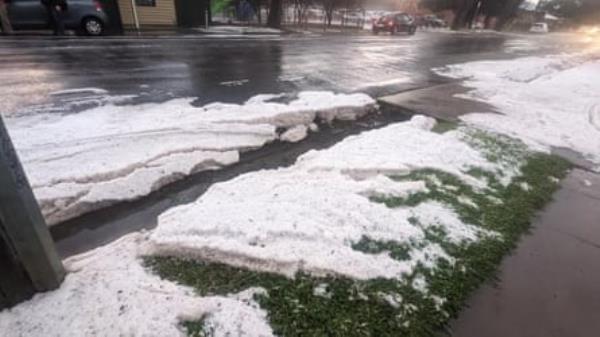 Hail on a nature strip